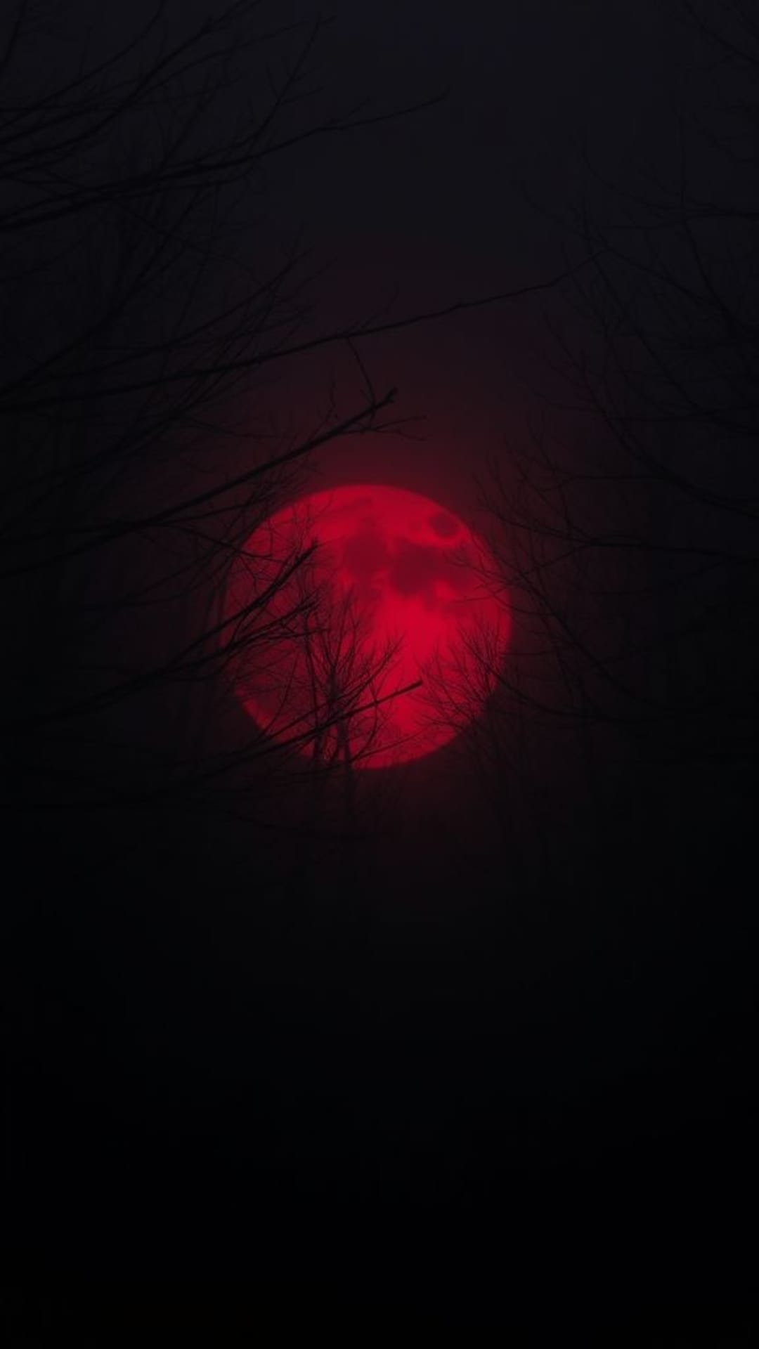 Atmosfere oscure e cupe estetica gotica lugubre misteriosa inquietante sagome.