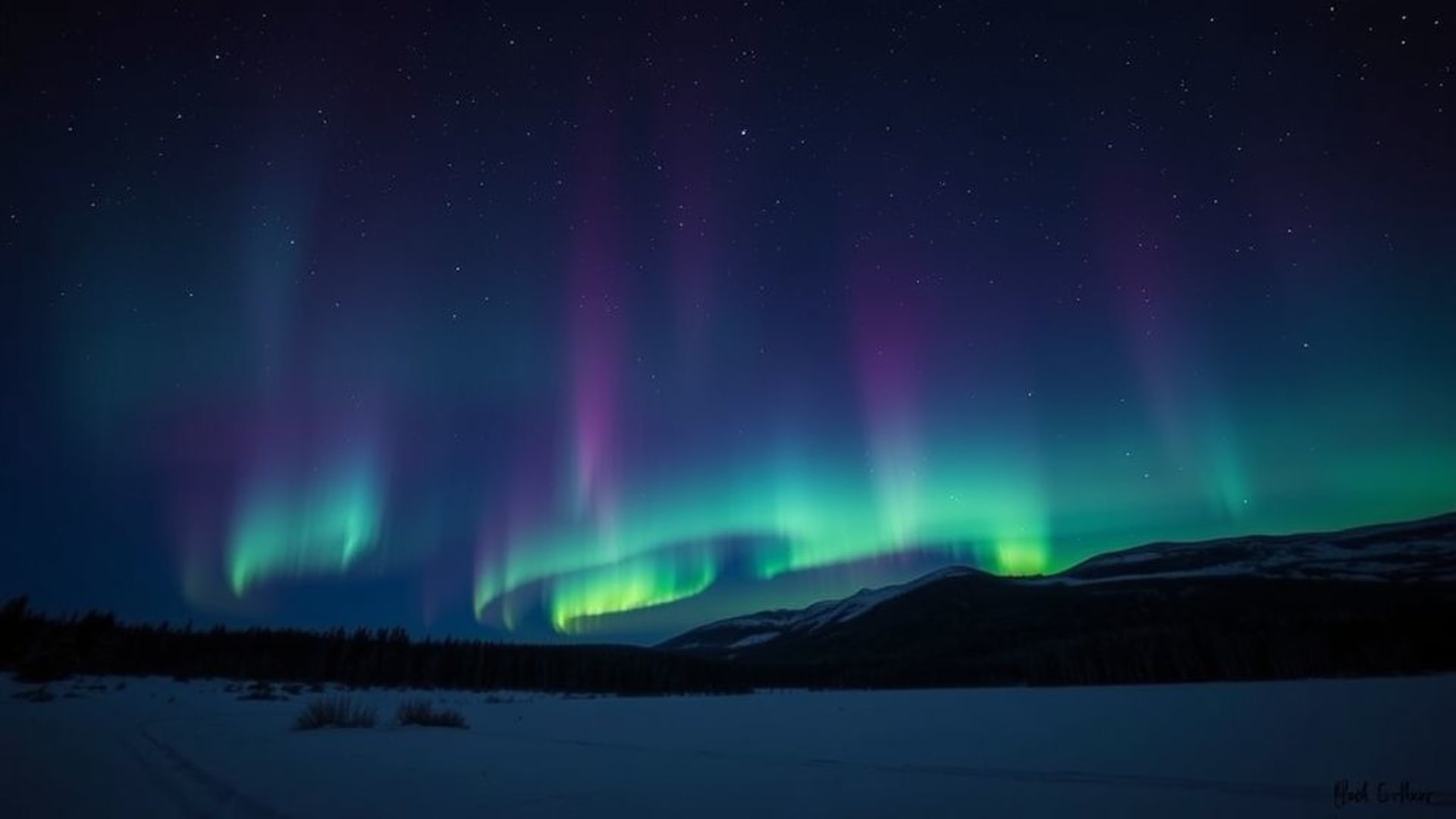 aurore boréale lumières du nord dansant dans un ciel dégradé sombre d'hiver fond d'écran