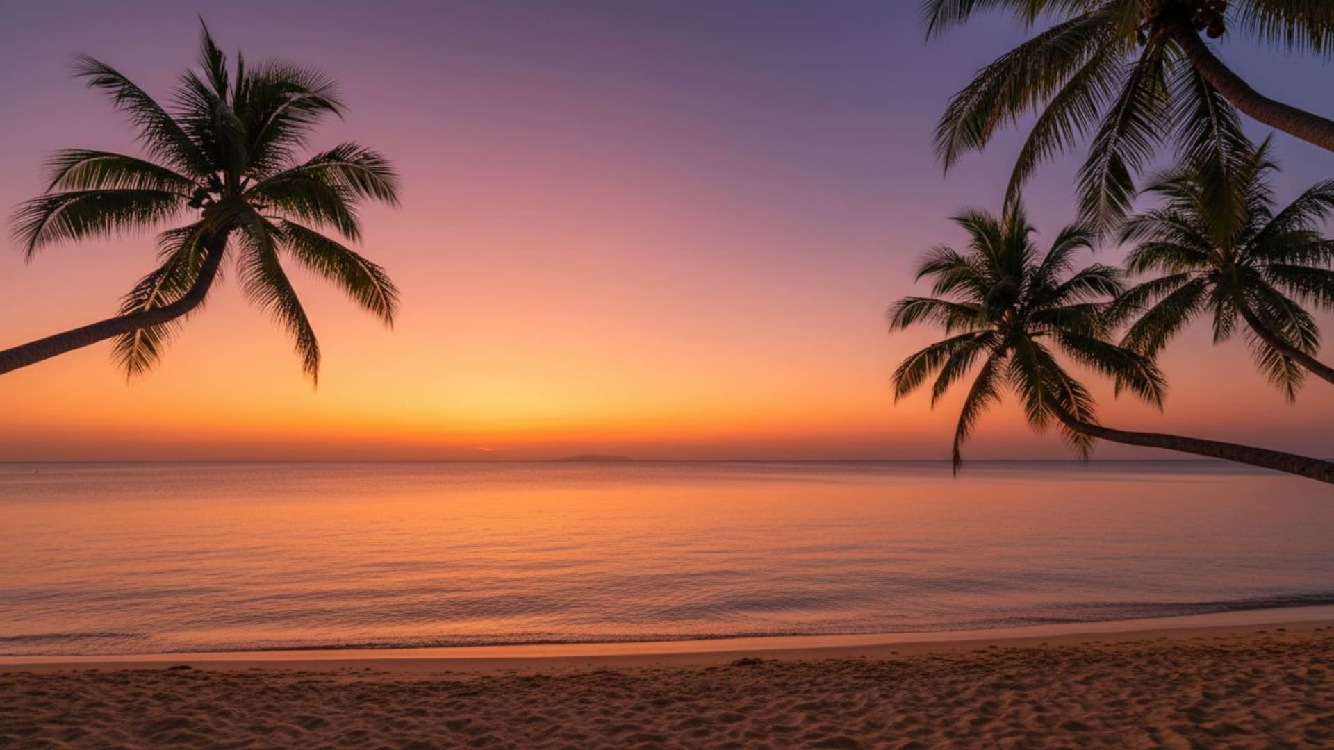 dégradé de coucher de soleil sur une plage tropicale avec des palmiers et des eaux calmes, fond d'écran horizon