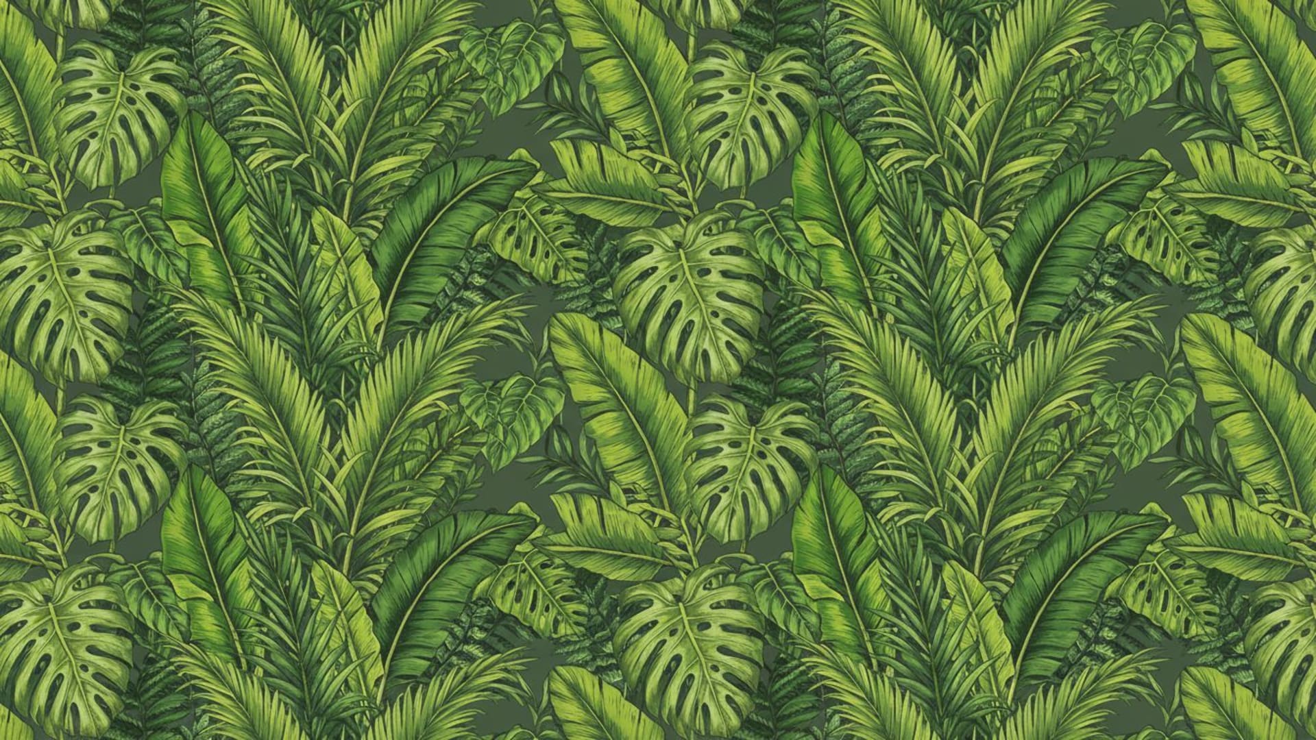 Les feuilles de palmier tropicales vertes et le feuillage de jungle forment une texture de fond ecran au motif botanique inspiré par la nature.