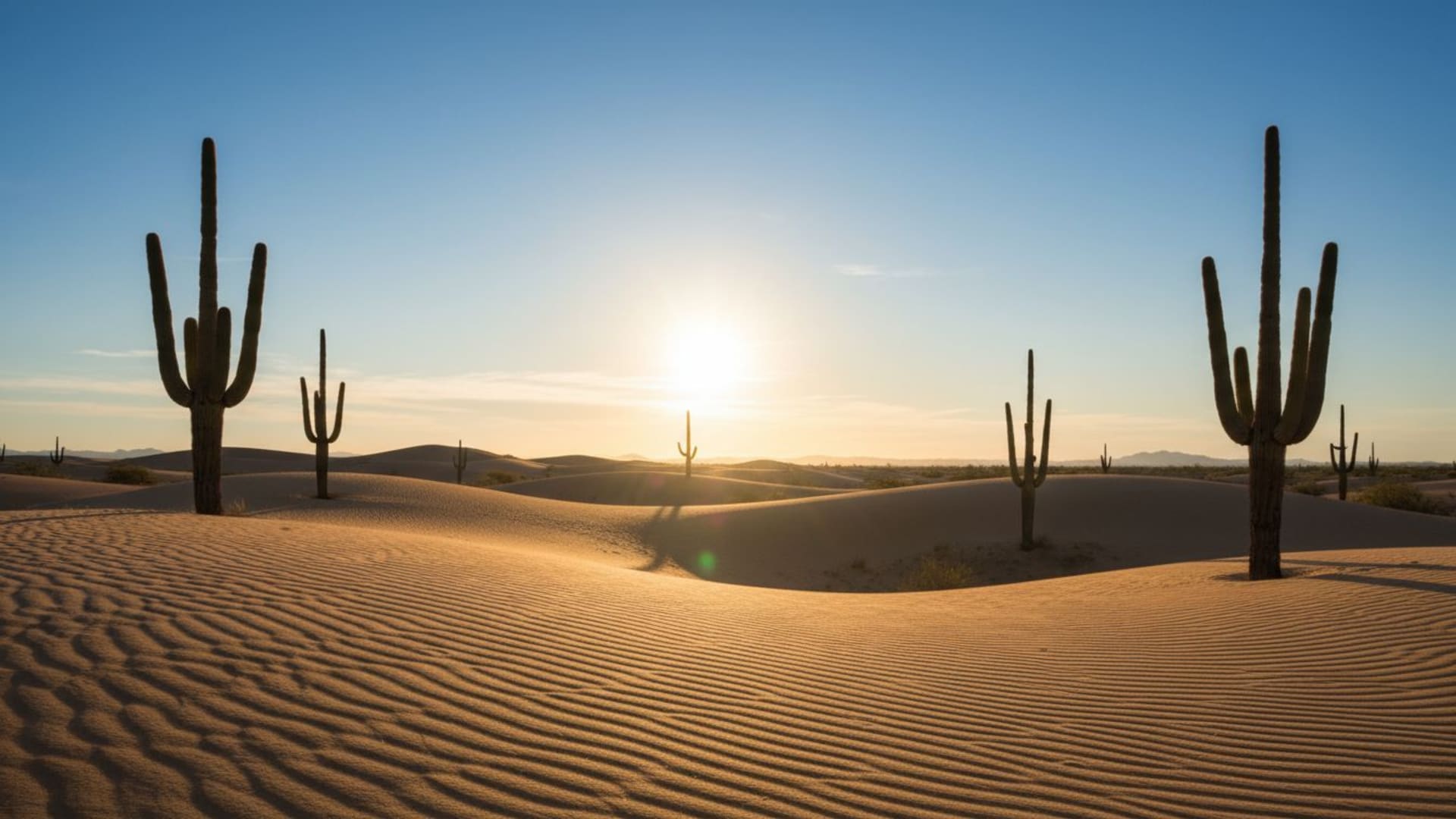 Dunes du désert, ondulations du sable, sable chaud doré, silhouette de cactus, ciel bleu clair, fond d'écran vertical.