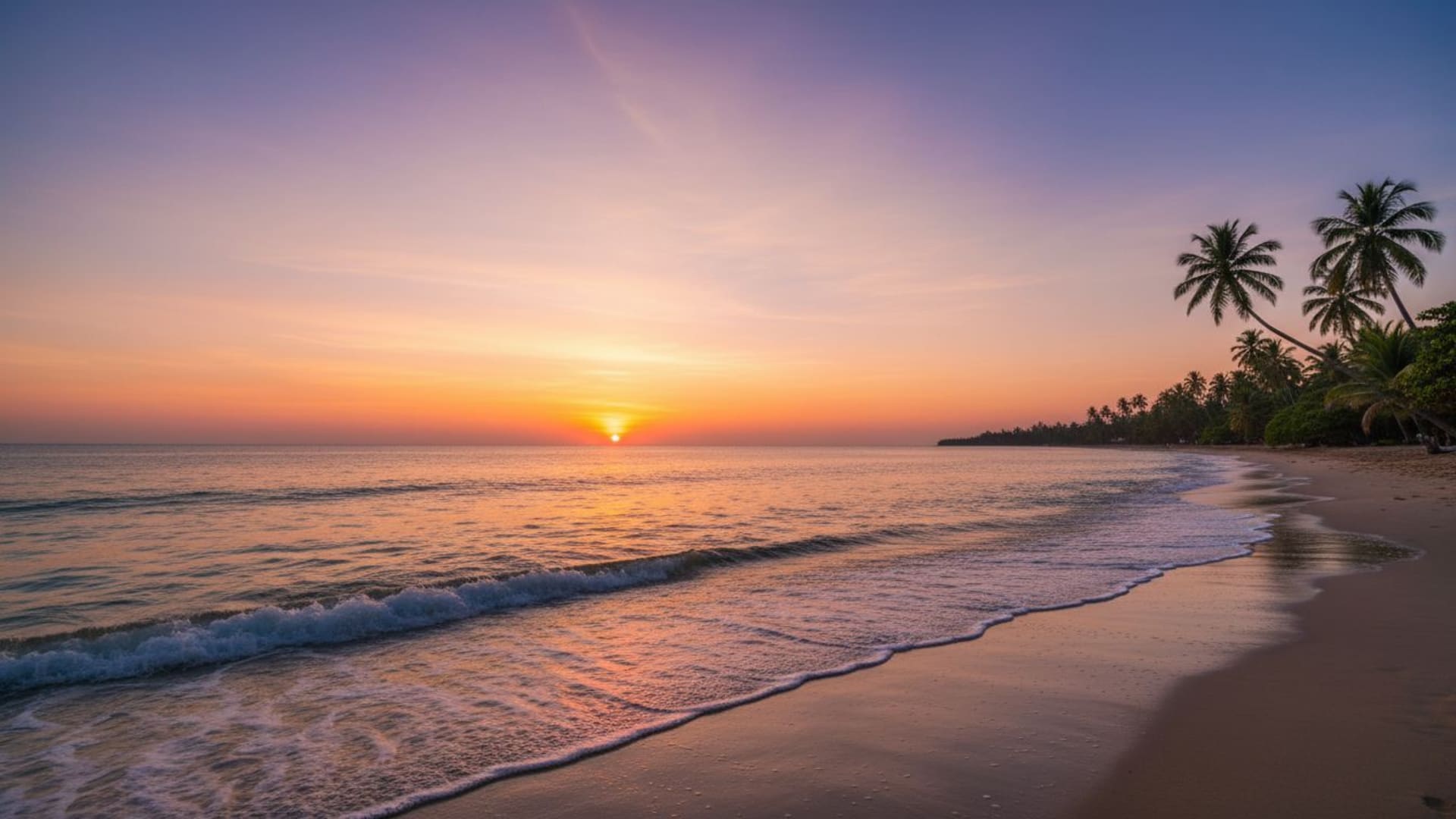 Plage au coucher du soleil, vagues de l'océan calmes, horizon, tons chauds, silhouettes de palmiers, crépuscule, dégradés, mer, nature, fond d'écran, mots-clés