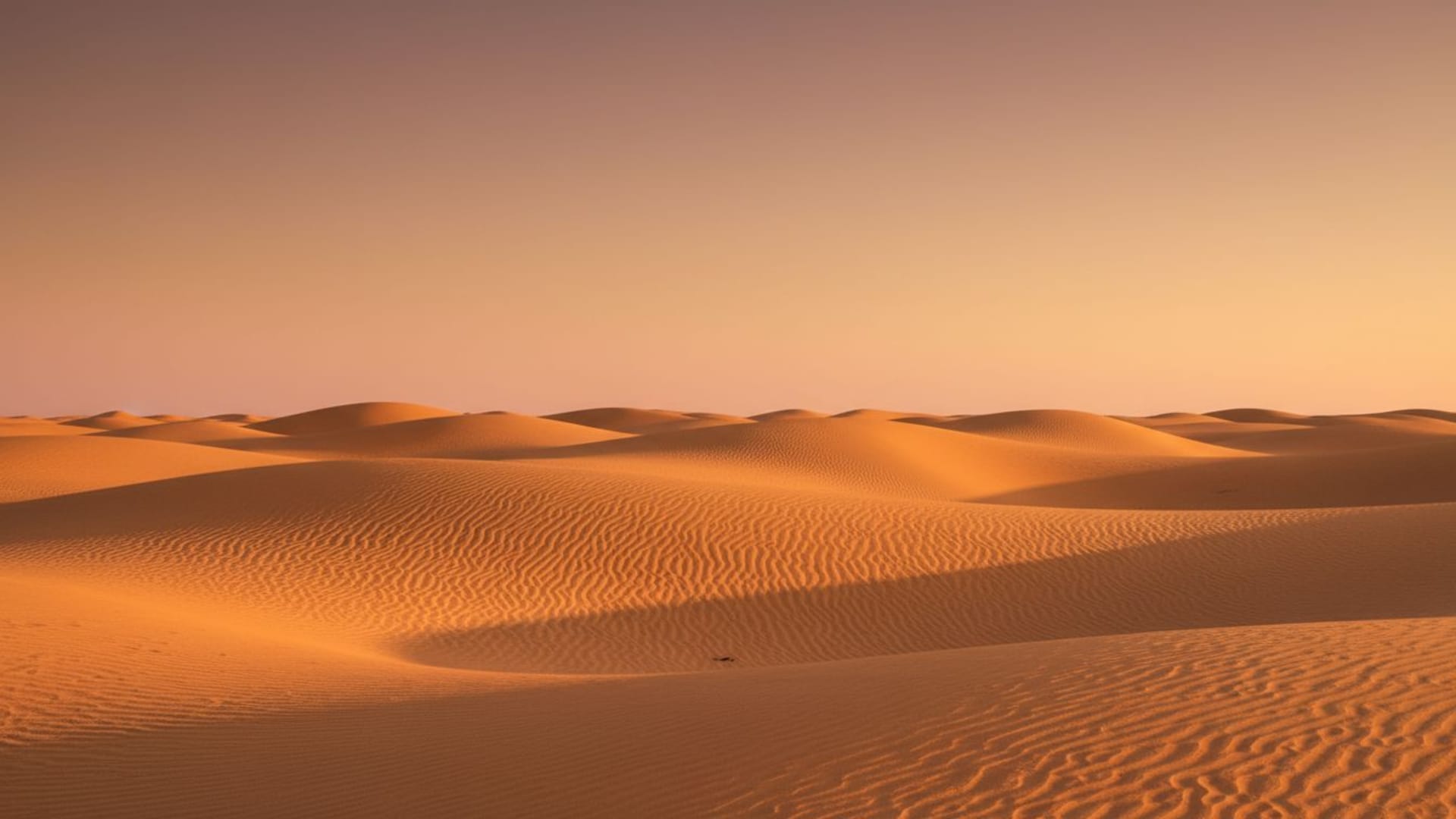 Dunes désertiques, motifs du vent, heure dorée, sable chaud, textures minimalistes