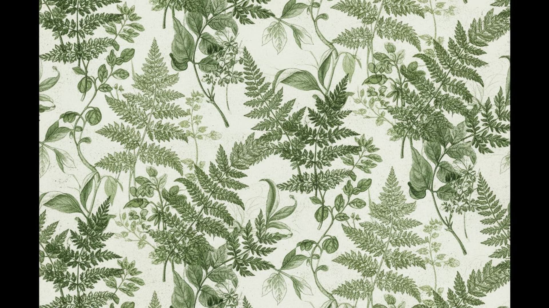 illustration botanique feuilles fougère monochrome vert blanc fond ecran vintage art