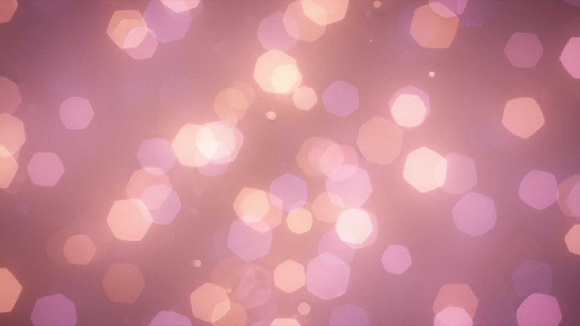 lumières bokeh éclat chaud fond abstrait douceur fond ecran rose violet