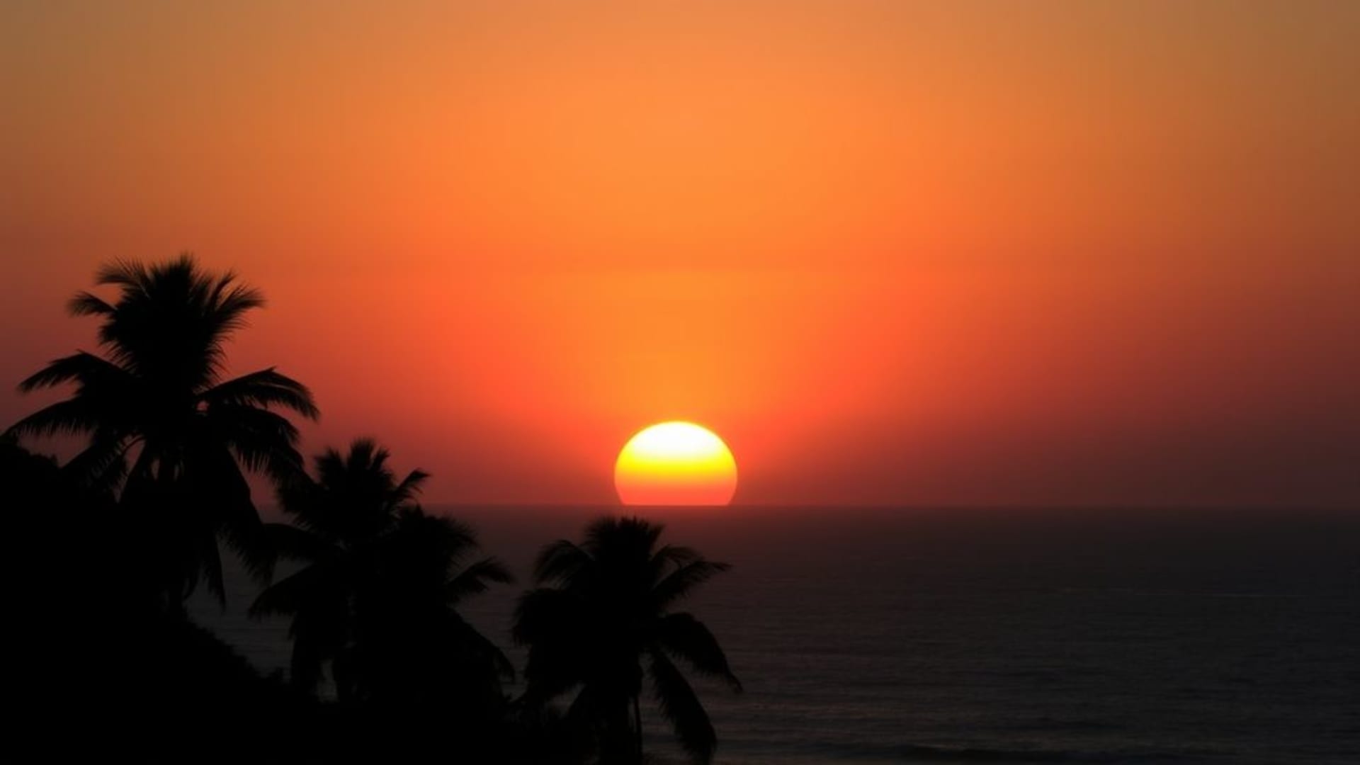 lever du soleil sur l'océan silhouettes de palmiers matin tropical dégradé fond d'écran