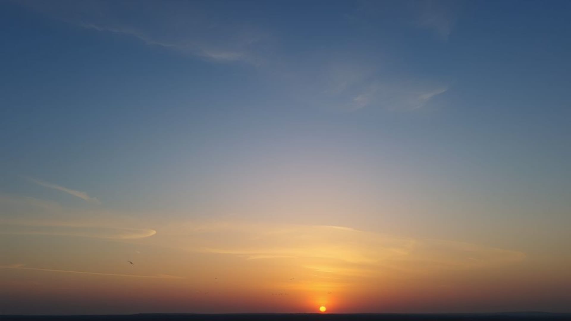 Paysage céleste, aube, lever du soleil, pastel, nuages, horizon, oiseaux, sérénité, tranquille, fond d'écran