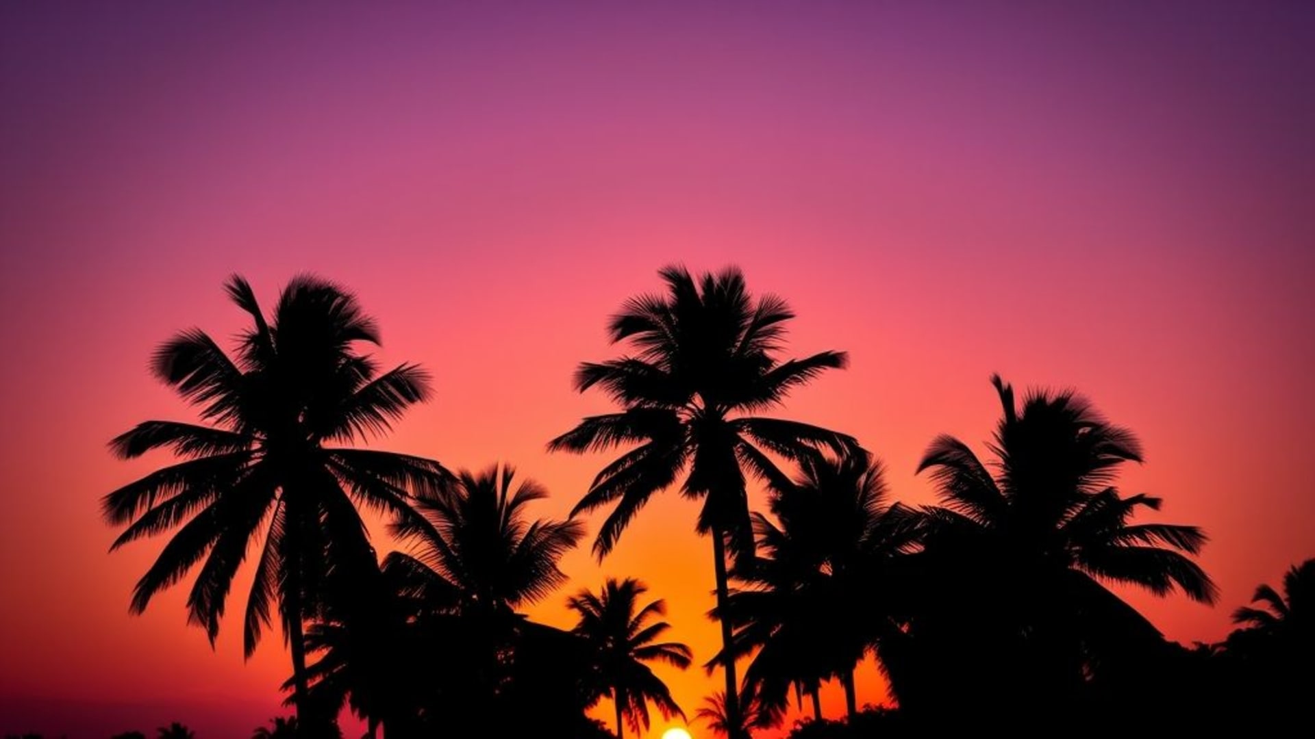 coucher de soleil dégradé ciel silhouette palmiers chaud orange violet fond ecran