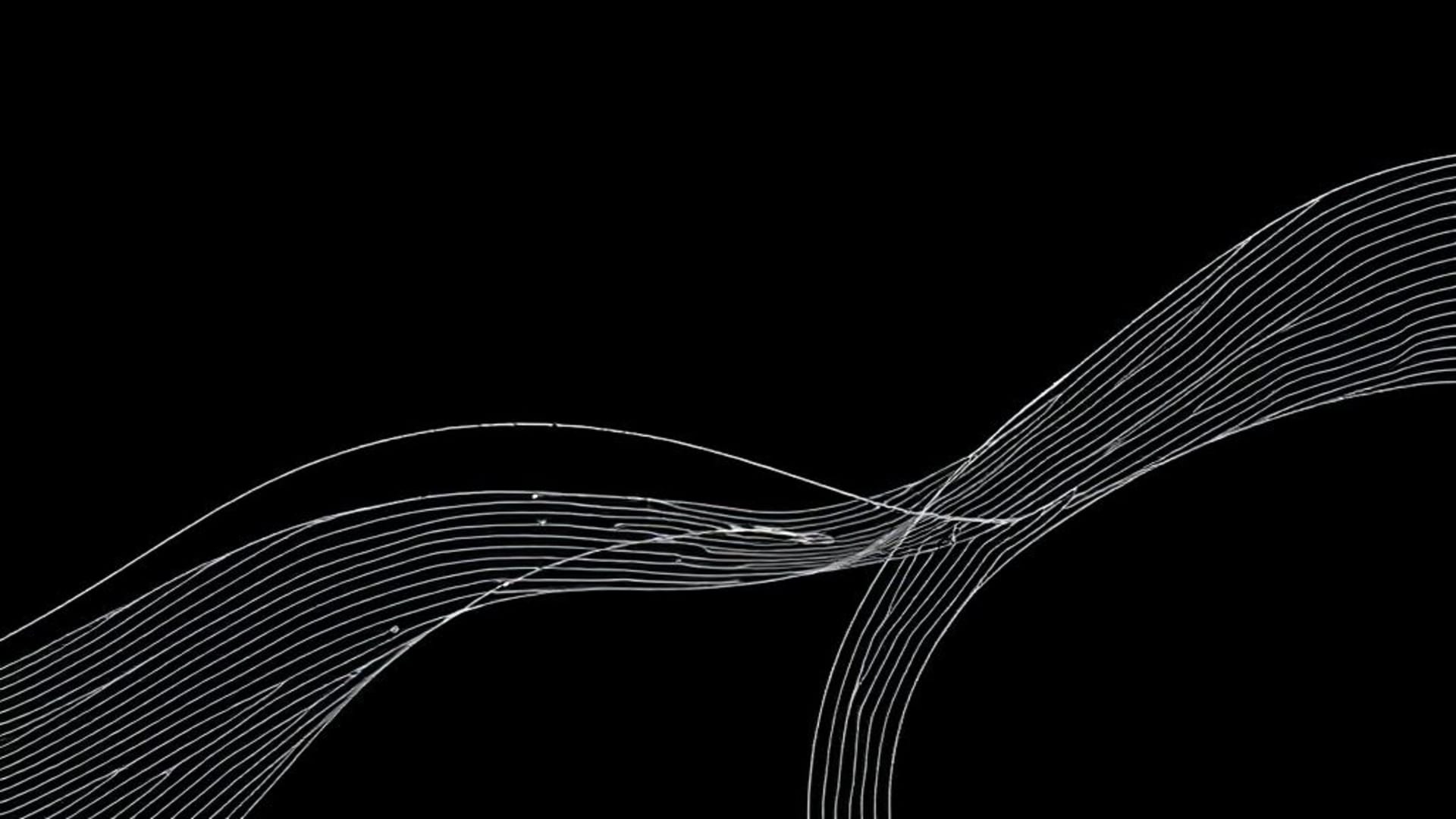art minimaliste en ligne monochrome courbes abstraites motifs géométriques fond ecran épuré studio