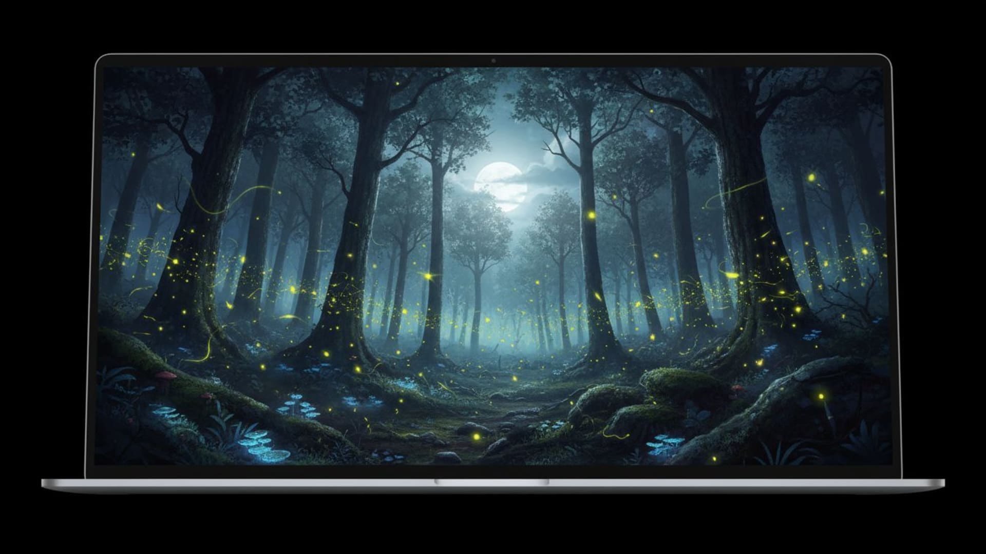 Nuit dans la forêt, clair de lune dans la forêt, lucioles lumineuses, atmosphère mystique, fond d'écran d'ordinateur portable.